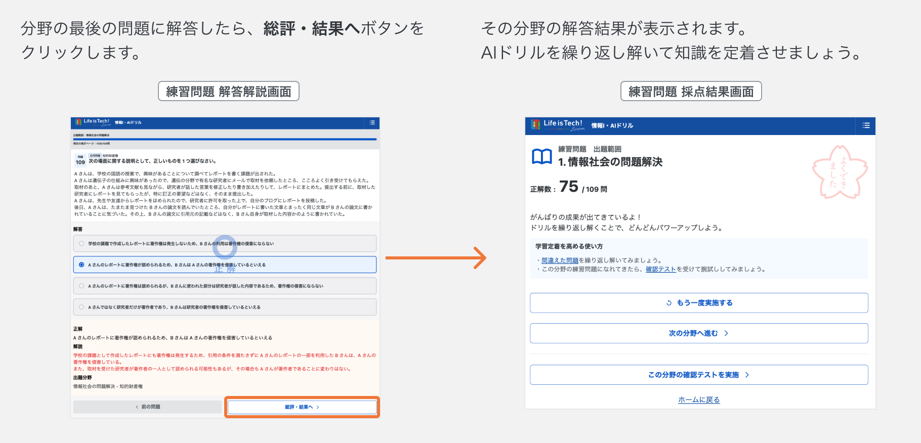 練習問題の分野ごとの結果を確認する.png
